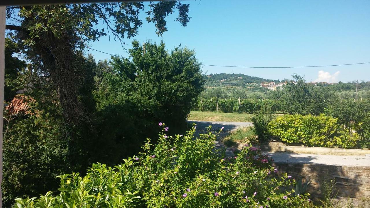 Villa House Barizoni Ancarano Esterno foto