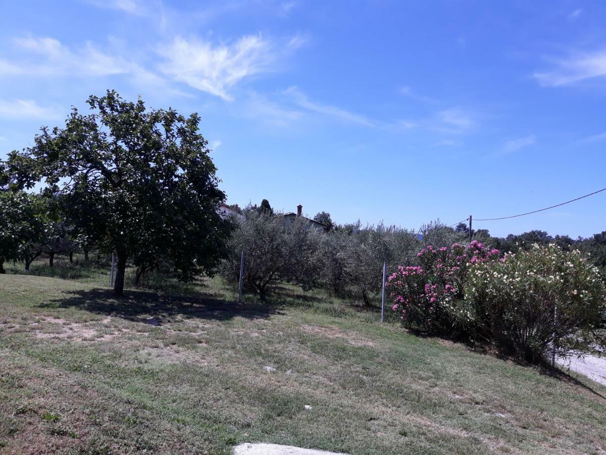 Villa House Barizoni Ancarano Esterno foto