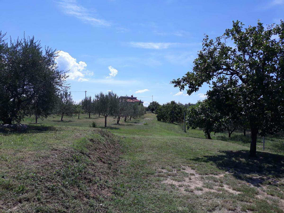 Villa House Barizoni Ancarano Esterno foto