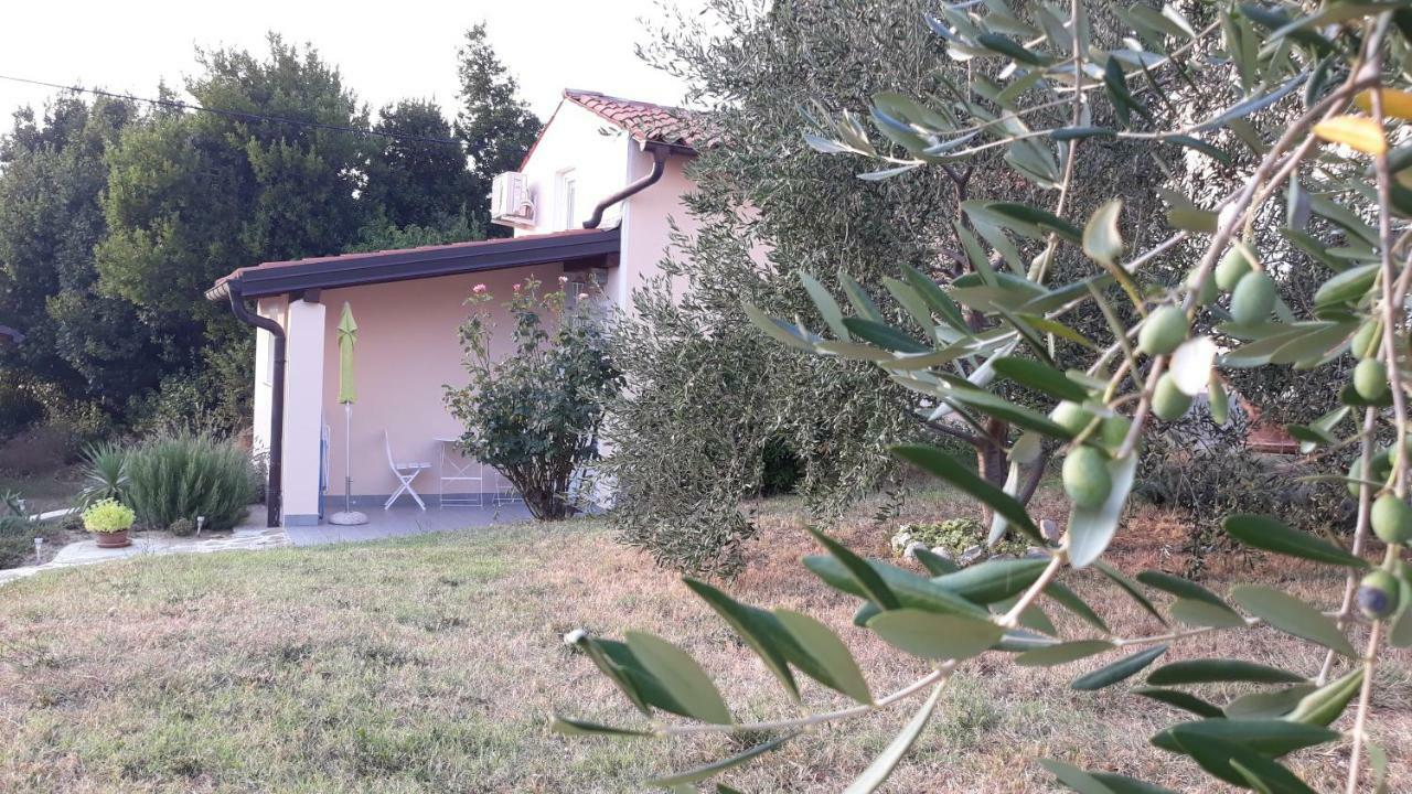 Villa House Barizoni Ancarano Esterno foto