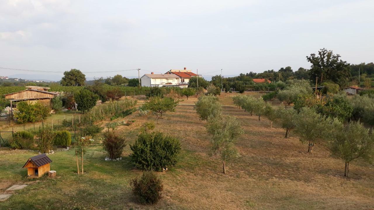Villa House Barizoni Ancarano Esterno foto